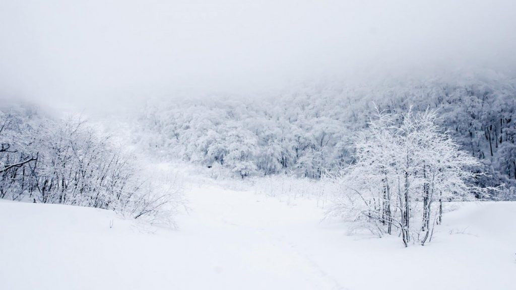日记 2019年5月7日(周二) 收到稿费了