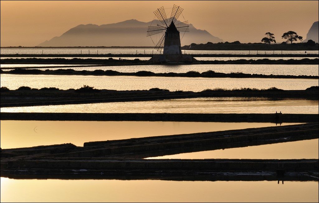 海豚湾是一曲歌，除了血色还有执着 | 影评