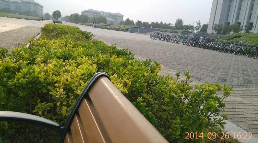 致一同进入大学的你 | 随笔