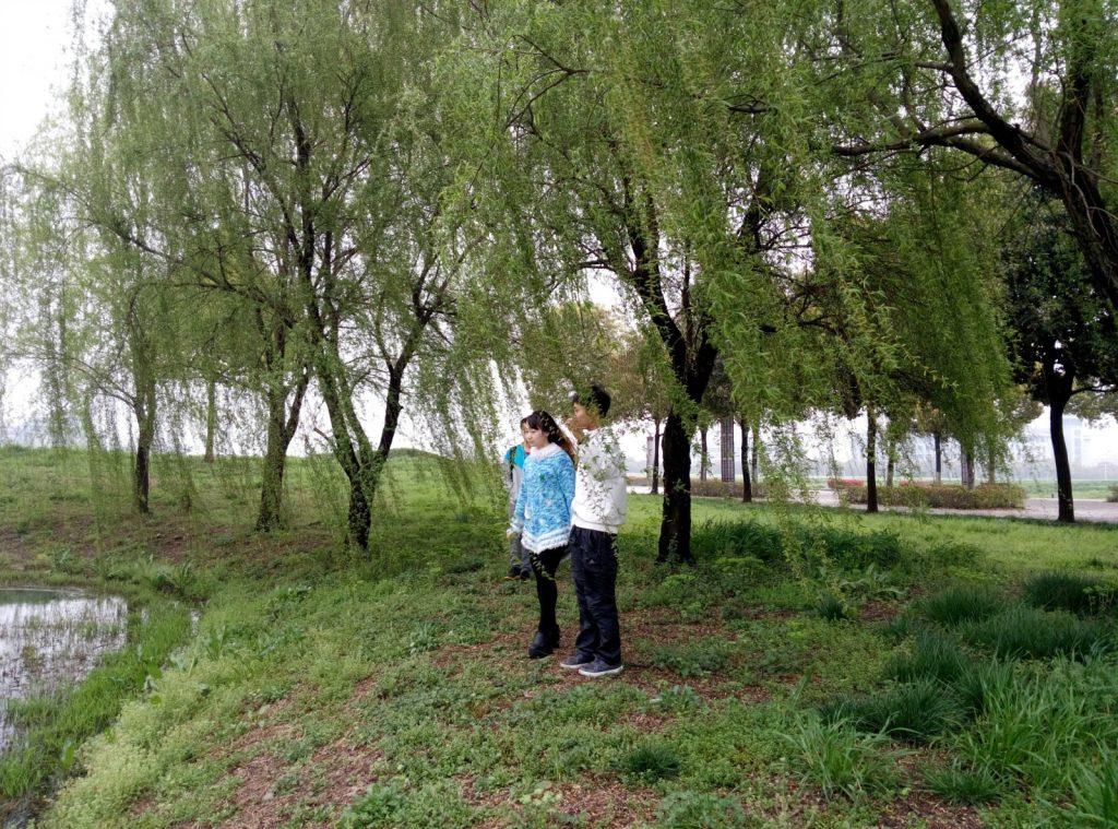 清明踏青无趣？唉，又是一个老了童心的大人 | 日记