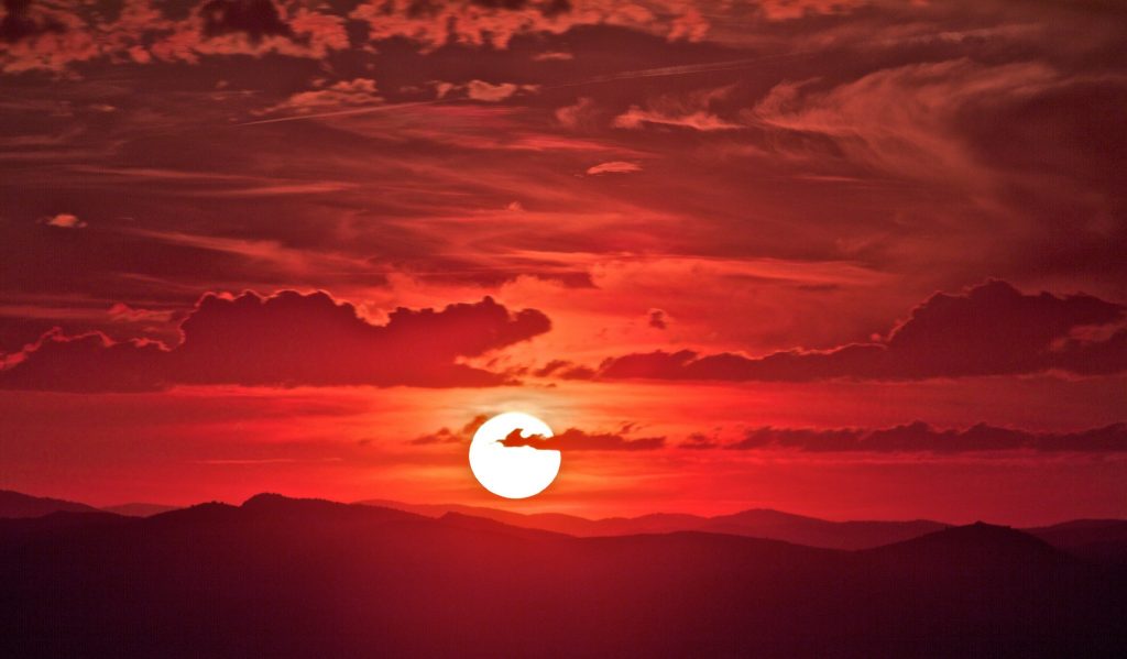 苦中作乐的风姿——论中国教育