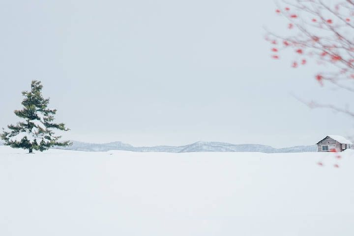 日记 2019年7月10日(周三)什么时候，小小超才能光芒万丈呢