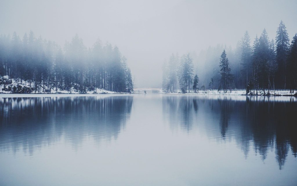 商业 | 盈石翡翠：翡翠玉镯精品赏析