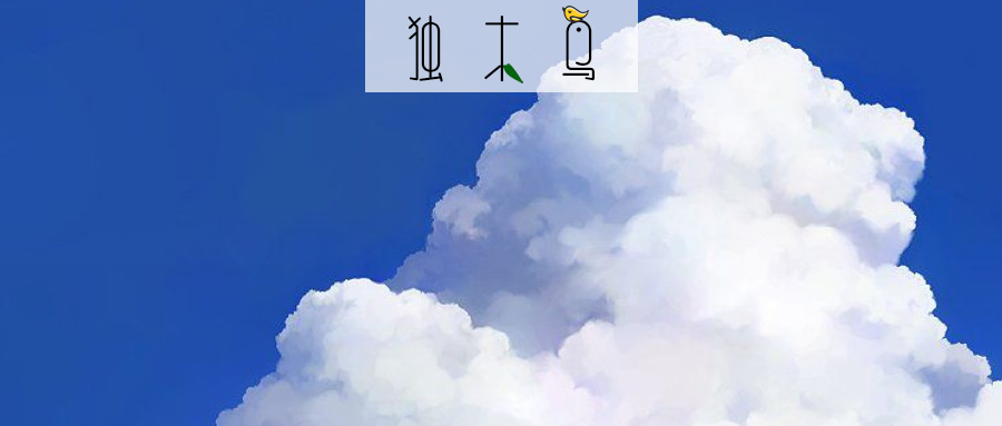 视频 | 籍籍无名的灿烂时光：记2019南雁学子夏令营上的演讲